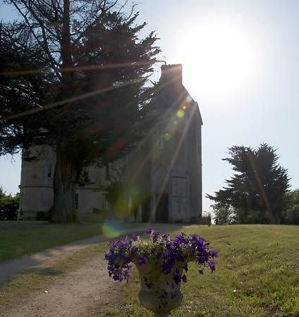 Chateau Fauchey Bed and Breakfast Cadillac Εξωτερικό φωτογραφία