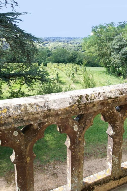 Chateau Fauchey Bed and Breakfast Cadillac Δωμάτιο φωτογραφία