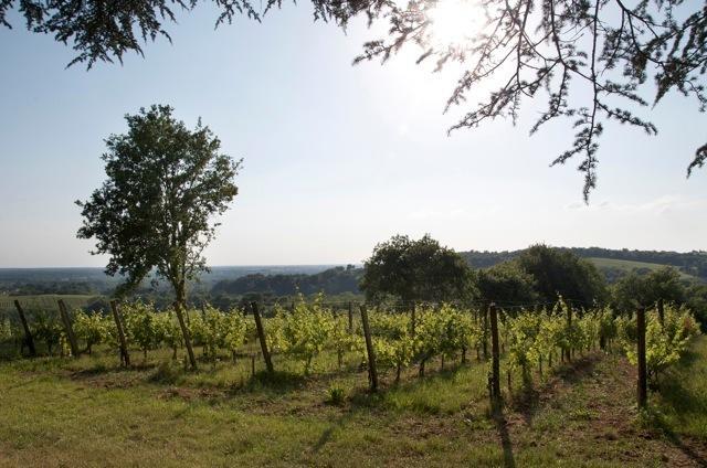 Chateau Fauchey Bed and Breakfast Cadillac Εξωτερικό φωτογραφία